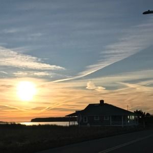 Meet your Posher, Anne